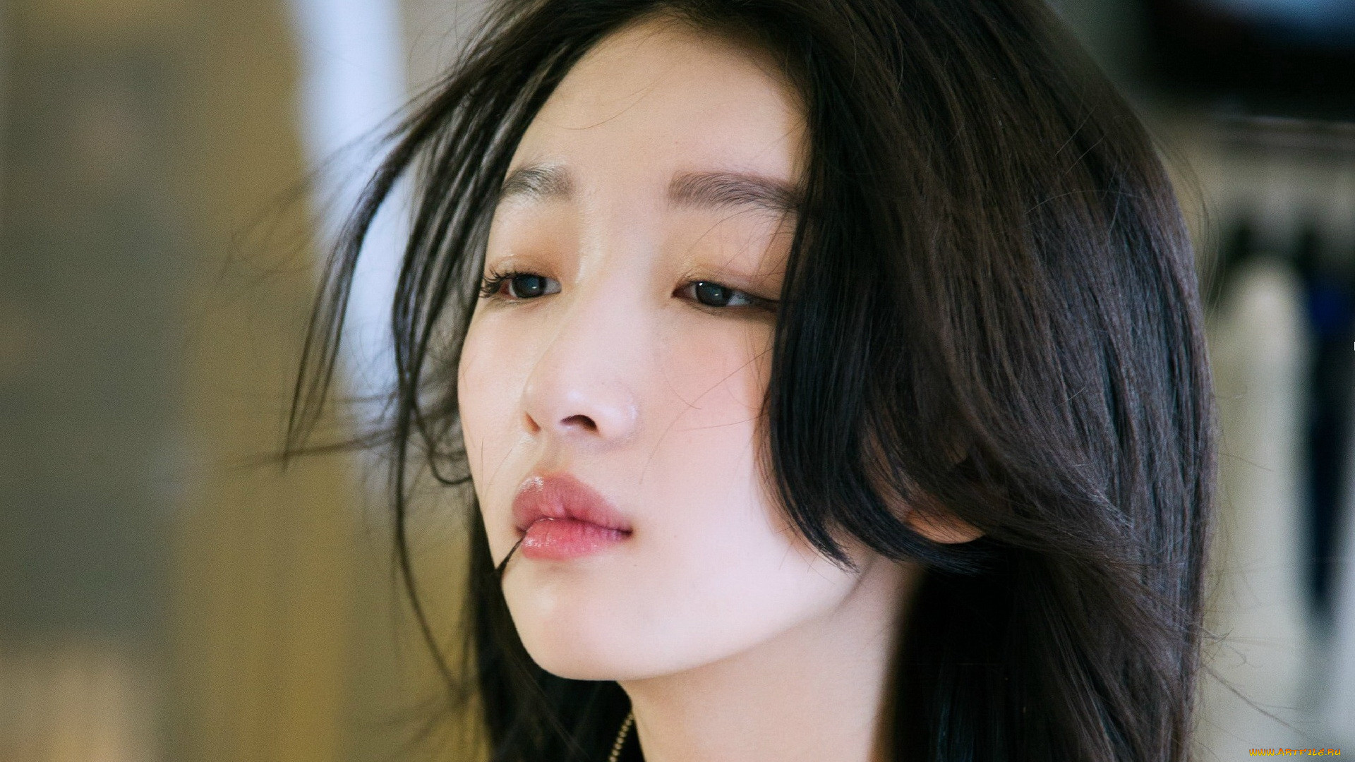 zhou dongyu, , zhou, dongyu